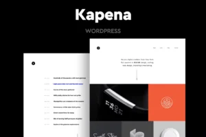 Download Theme Wordpress