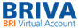 bri-va.webp