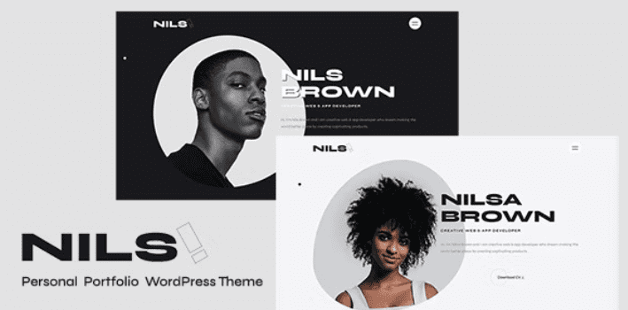 download theme wordpress